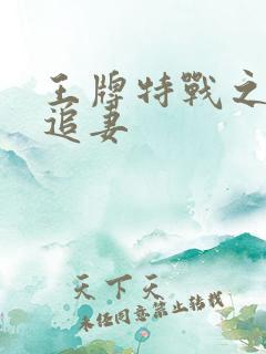 王牌特战之军少追妻