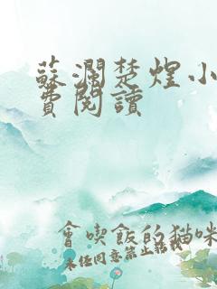 苏澜楚煜小说免费阅读