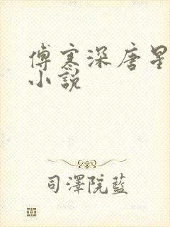 傅寒深唐星挽的小说