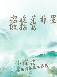 温暖叶非墨车内做描写