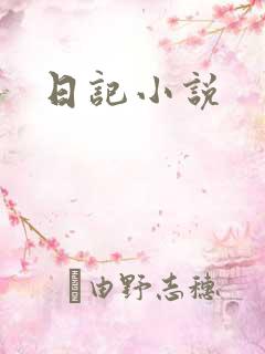 日记小说