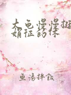 大龟慢慢挺进张娟征的休