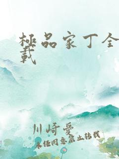 极品家丁全集下载