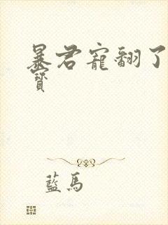 暴君宠翻了小娇宝