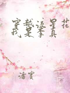 穿越流星花园之我是李真