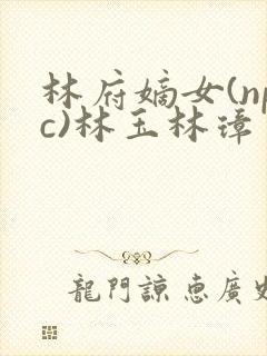 林府嫡女(npc)林玉林璋