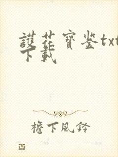 护花宝鉴txt下载