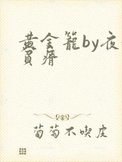 黄金笼by夜很贫瘠