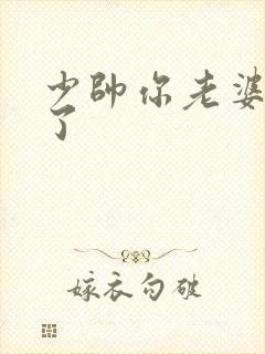 少帅你老婆又跑了