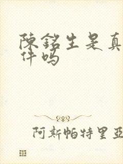 陈铭生是真实事件吗