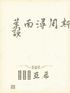 叶南浔周斯年小说