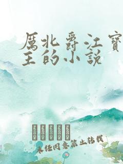 厉北爵江宝宝男主的小说