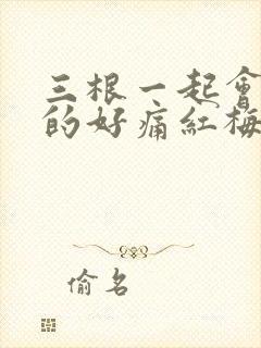 三根一起会坏掉的好痛红梅