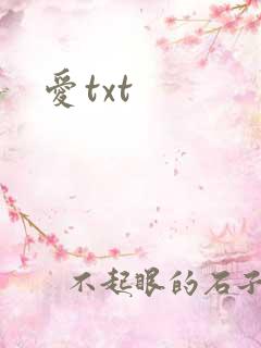 爱txt