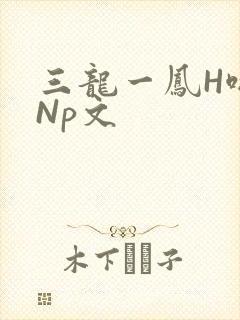 三龙一凤H啪肉Np文