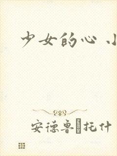 少女的心 小说