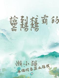 捡到校霸的遥控器阳阳