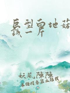 巨型白地菇多少钱一斤