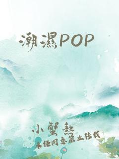 潮湿POP