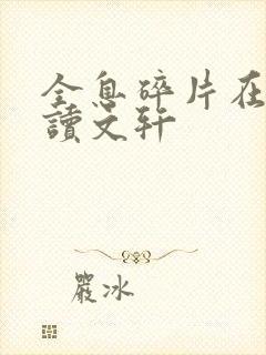 全息碎片在线阅读文轩