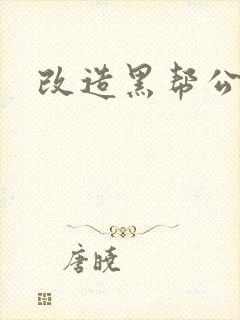 改造黑帮公主
