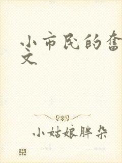 小市民的奋斗燃文
