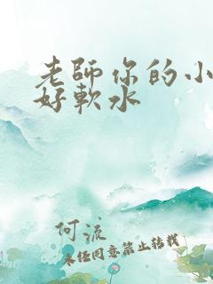 老师你的小兔子好软水