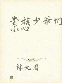 贵族少爷们 请小心