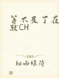 等不及了在车里就CH