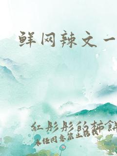鲜网辣文一对一