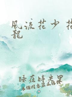 风流花少 花睿龙