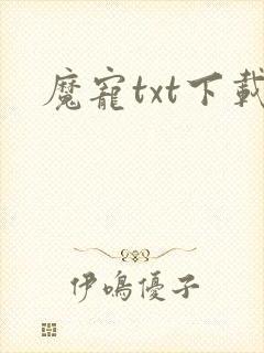 魔宠txt下载