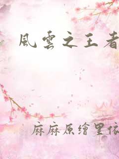 风云之王者人生