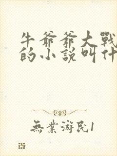 牛爷爷大战小丽的小说叫什么