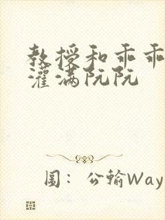 教授和乖乖女H灌满阮阮