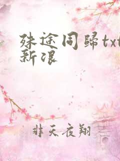 殊途同归txt新浪