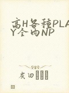 高H各种PLAY全肉NP