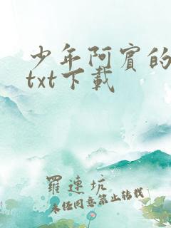 少年阿宾的故事txt下载