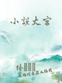 小说大宫