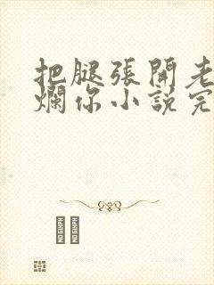 把腿张开老子臊烂你小说完