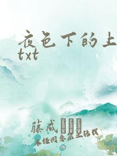 夜色下的上海滩txt