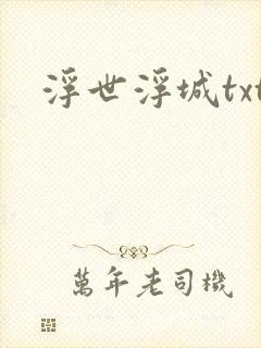 浮世浮城txt