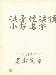 洪青烟洪镇国的小说名字