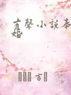 有声小说奉子成婚