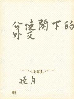 公使阁下的秘密外交