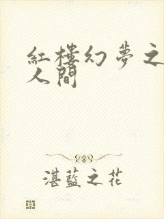 红楼幻梦之天上人间