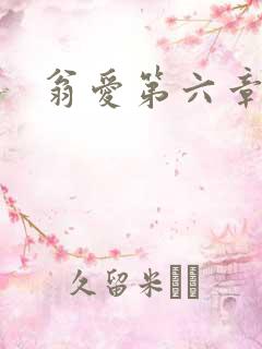 翁爱第六章