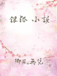 银狐 小说