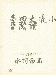 梦回大曦小说免费阅读