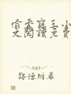 偷香窃玉小说全文阅读免费